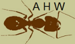 Quah Avatar